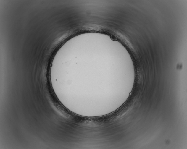 X0000102030538200808081814