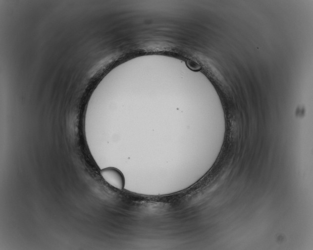 X0000102030539200808081814