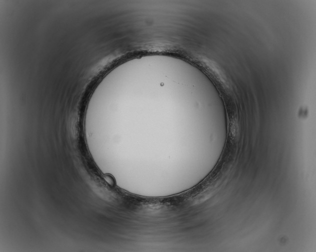 X0000102030540200808081814