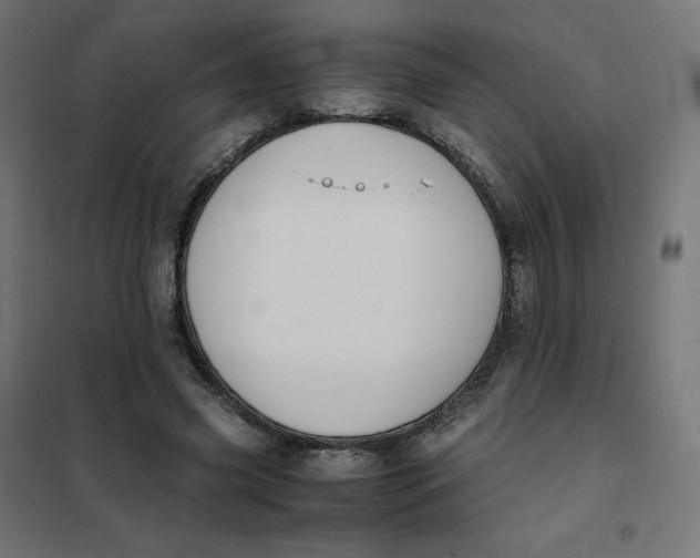 X0000102030541200808081814