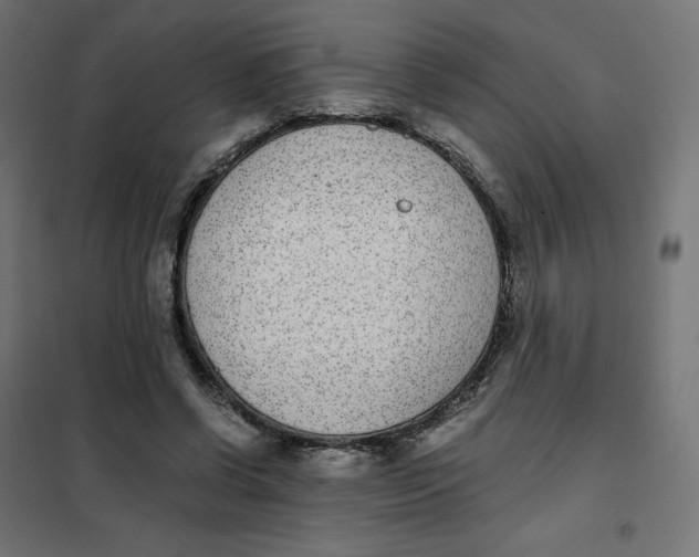 X0000102030542200808081814