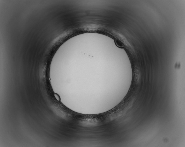 X0000102030543200808081814