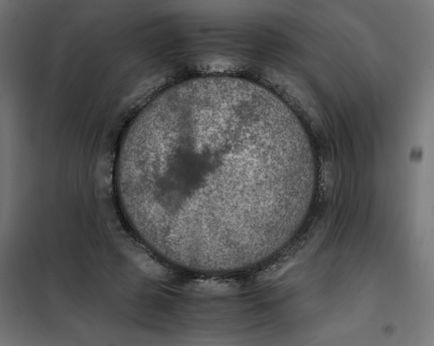 X0000102030545200808081814