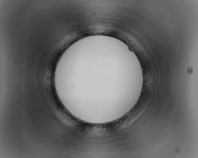 X0000102030546200808081814