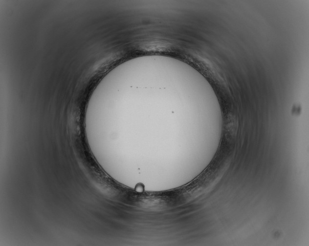 X0000102030547200808081814