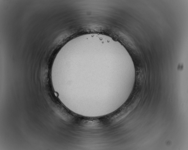 X0000102030548200808081814