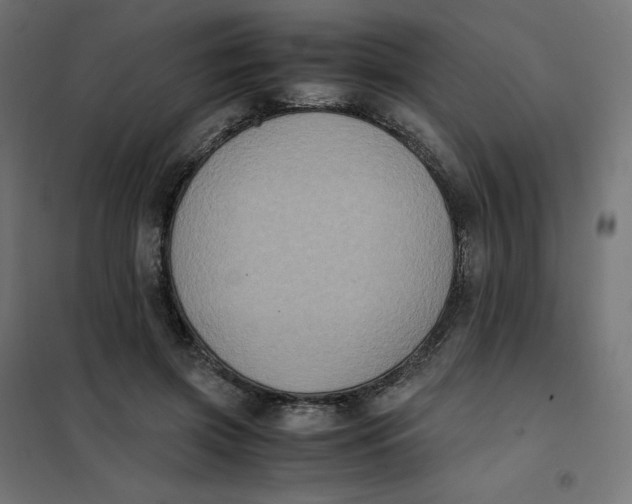 X0000102030549200808081814