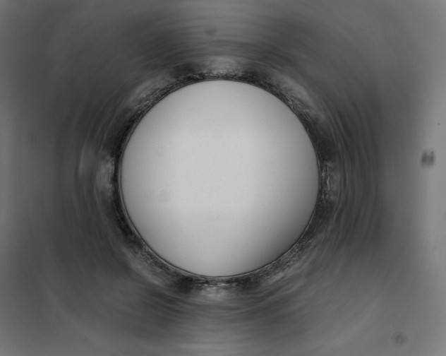 X0000102030550200808081814