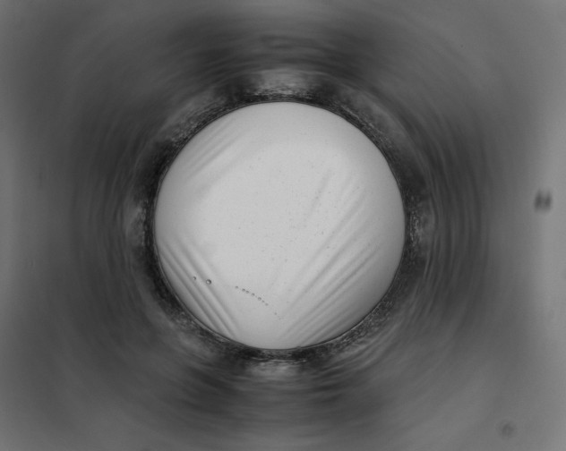 X0000102030551200808081814