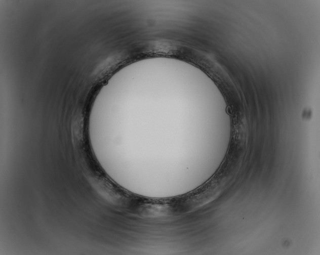 X0000102030552200808081814