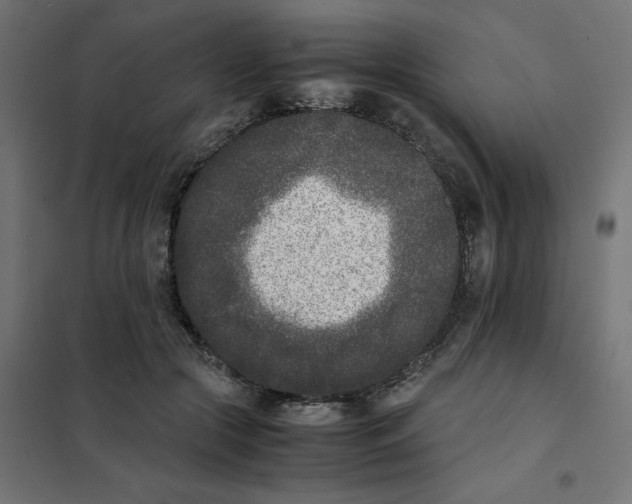 X0000102030553200808081814