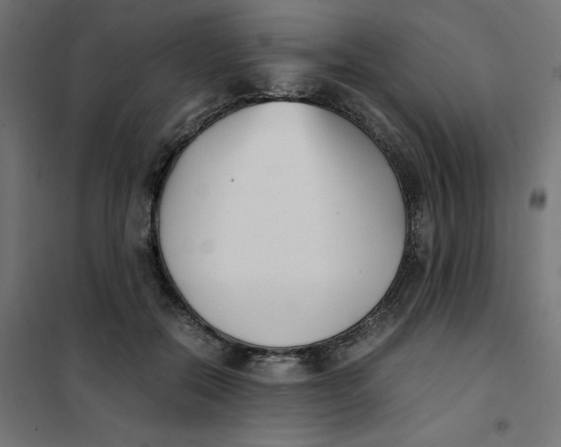 X0000102030554200808081814