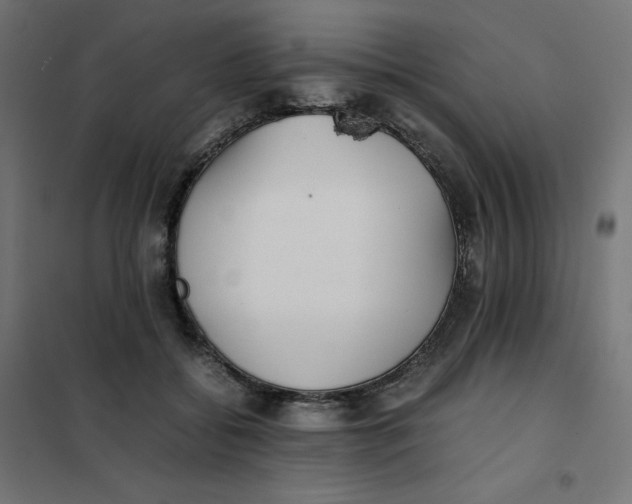 X0000102030556200808081814