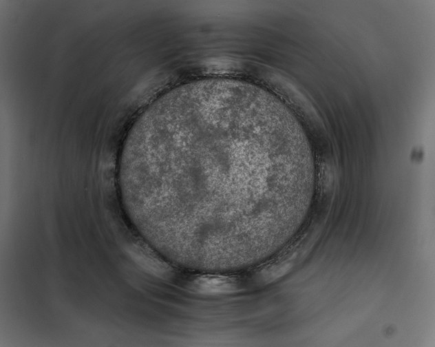 X0000102030557200808081814