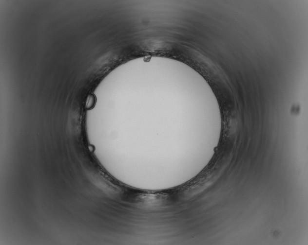 X0000102030558200808081814