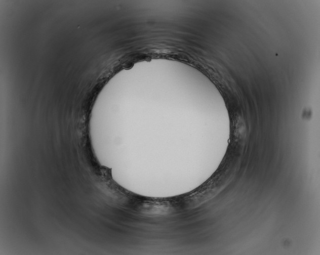 X0000102030559200808081814