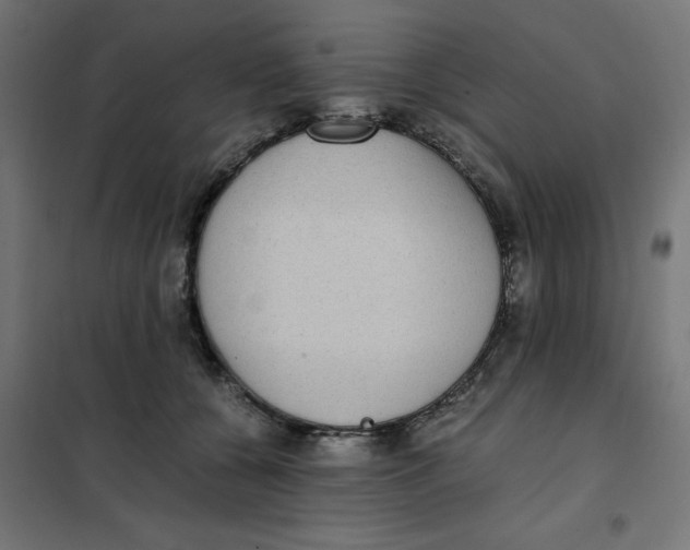 X0000102030560200808081814