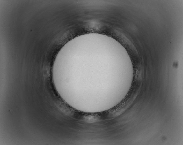 X0000102030561200808081814