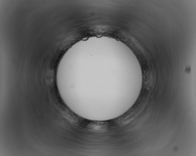 X0000102030563200808081814