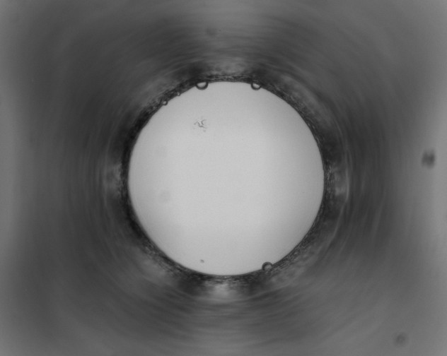 X0000102030564200808081814