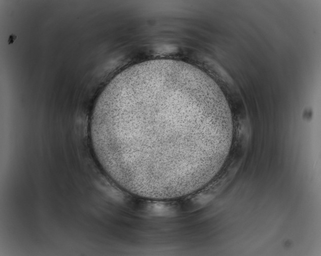 X0000102030565200808081814