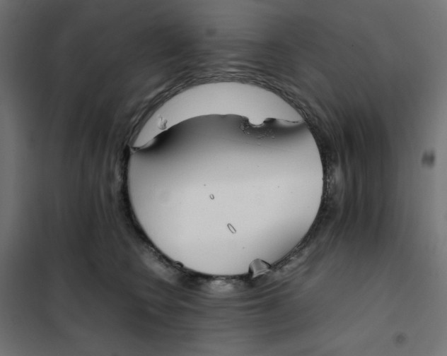 X0000102030566200808081814