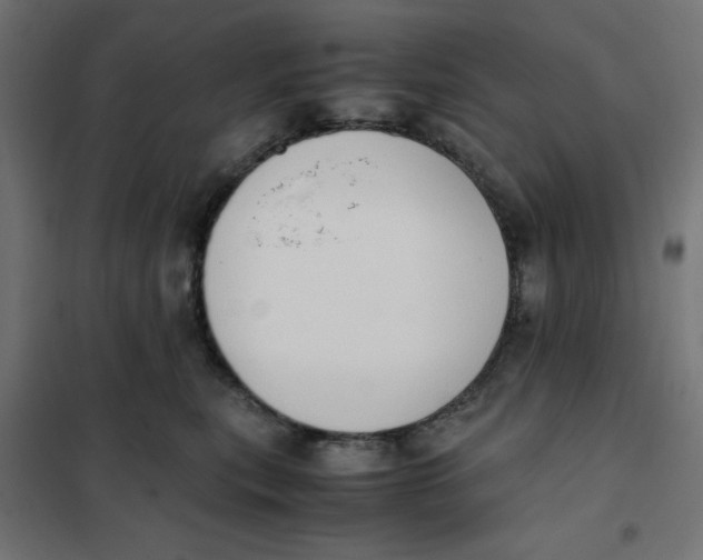 X0000102030567200808081815