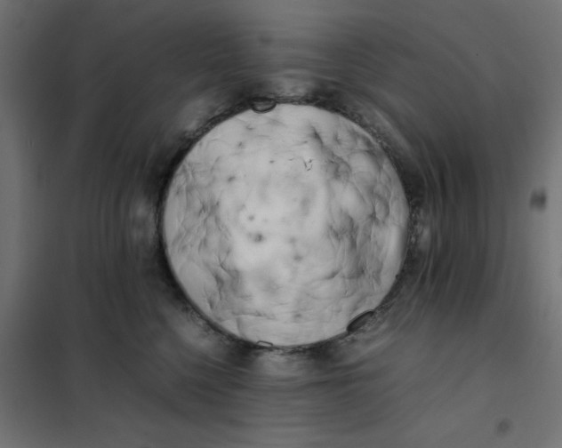 X0000102030568200808081815