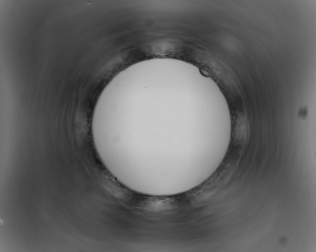 X0000102030569200808081815