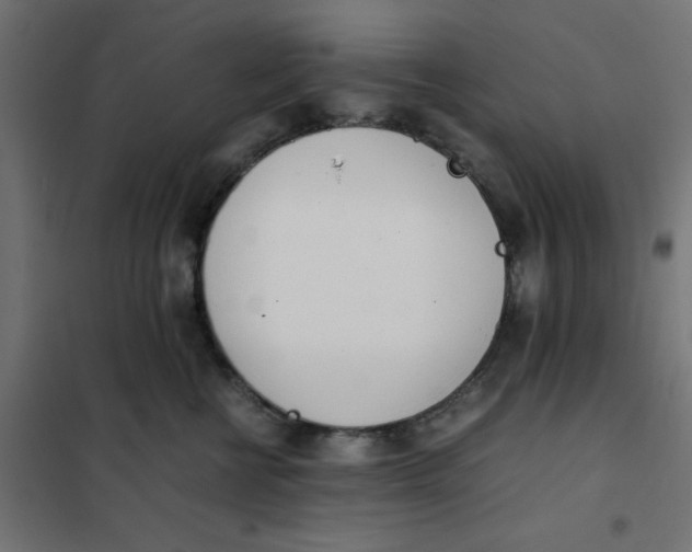 X0000102030570200808081815