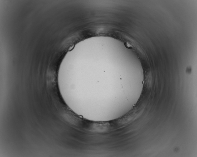 X0000102030571200808081815