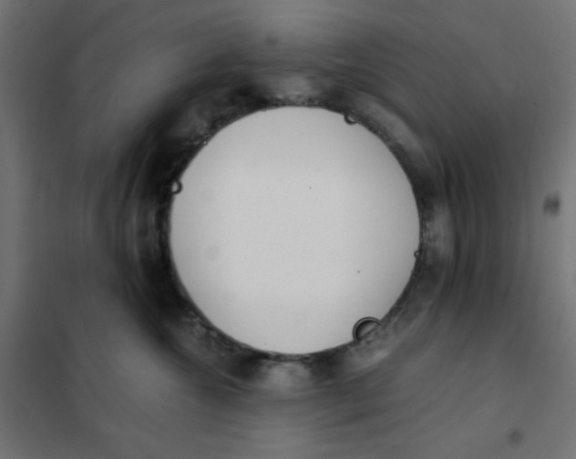 X0000102030572200808081815