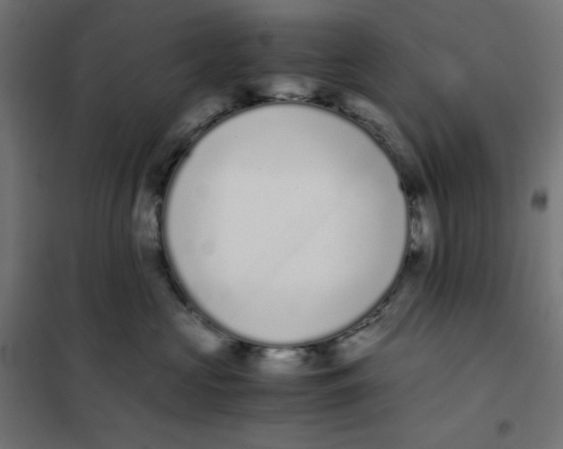 X0000102030573200808081815