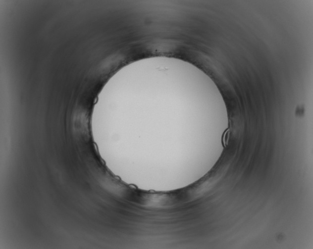 X0000102030575200808081815