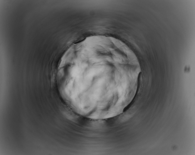 X0000102030576200808081815