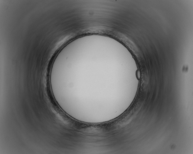 X0000102030578200808081814