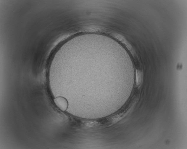 X0000102030579200808081814