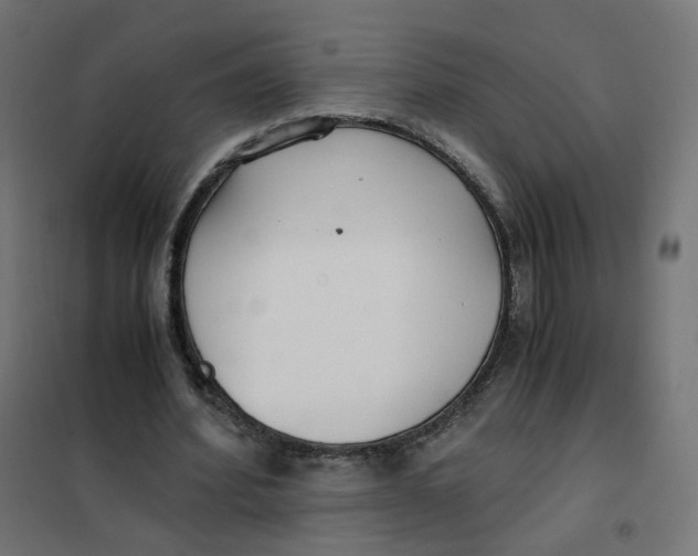 X0000102030580200808081814