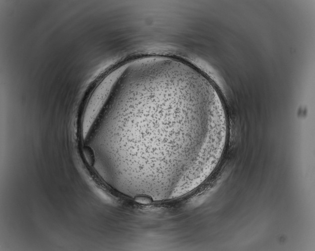 X0000102030581200808081814