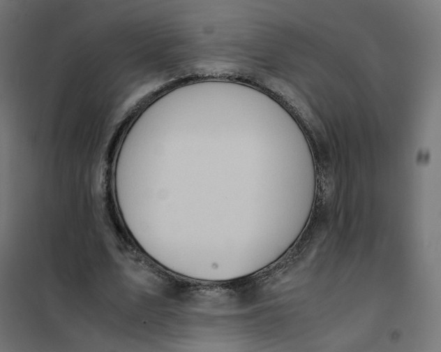 X0000102030583200808081814