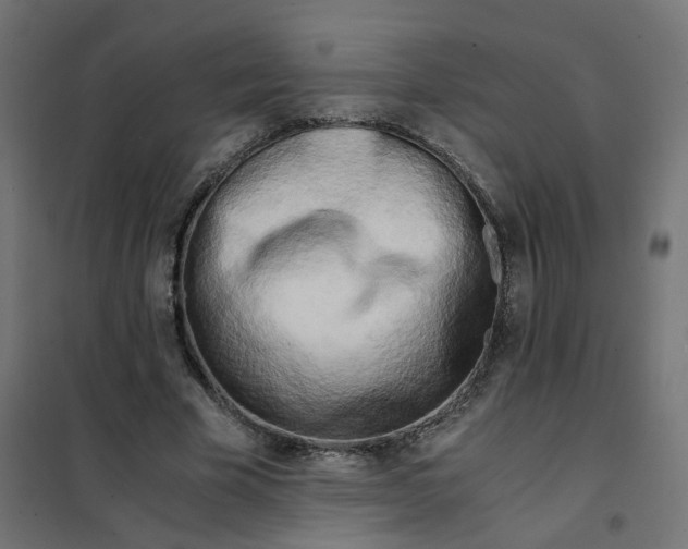 X0000102030585200808081814