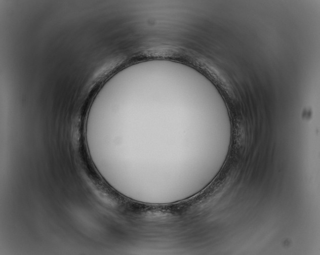 X0000102030586200808081814