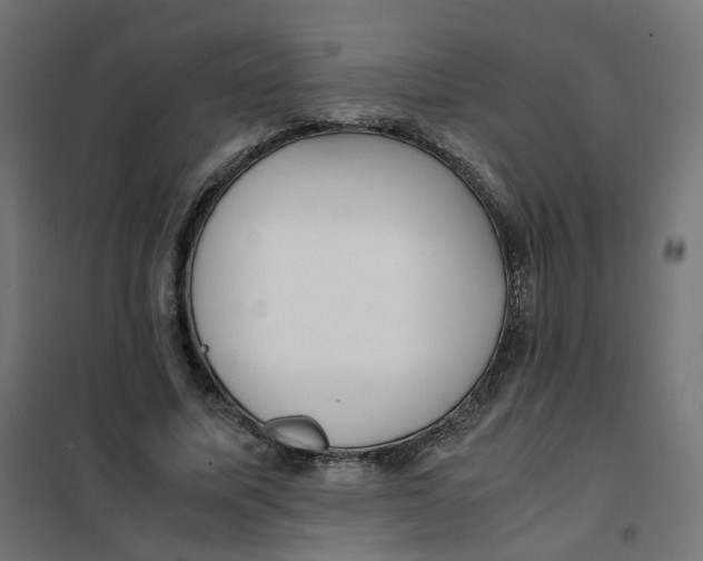 X0000102030587200808081814