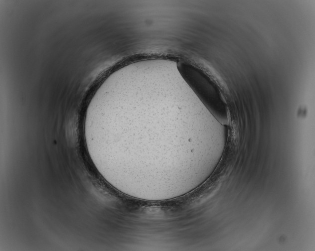 X0000102030588200808081814