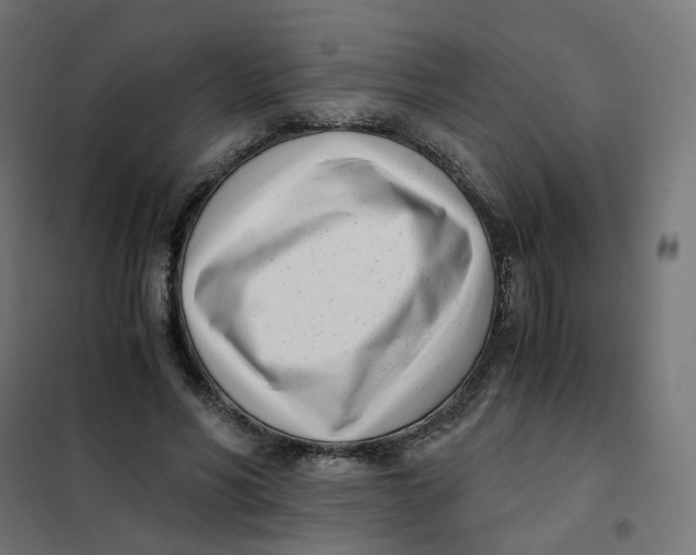 X0000102030590200808081814