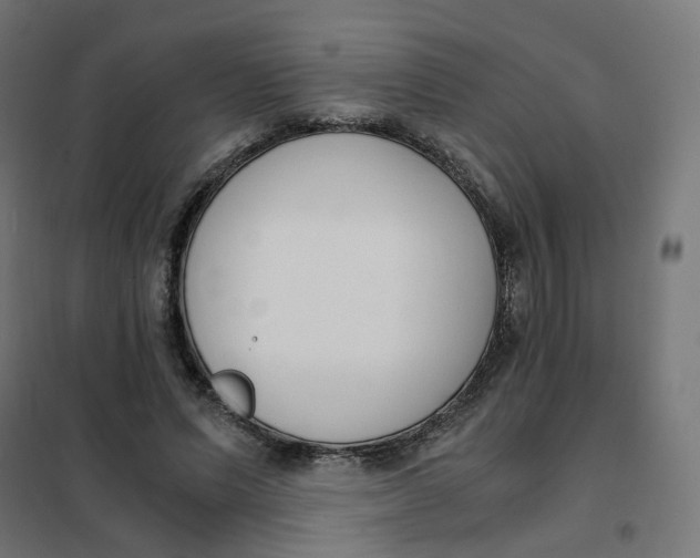 X0000102030591200808081814