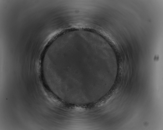 X0000102030592200808081814