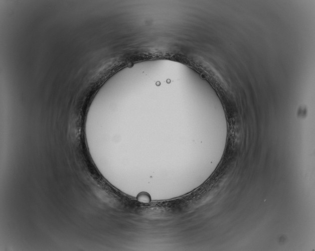 X0000102030593200808081814