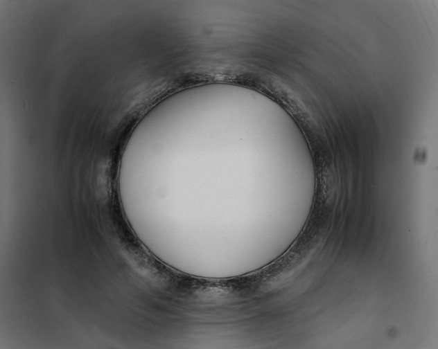 X0000102030594200808081814