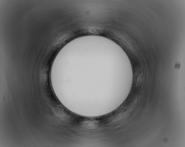 X0000102030595200808081814